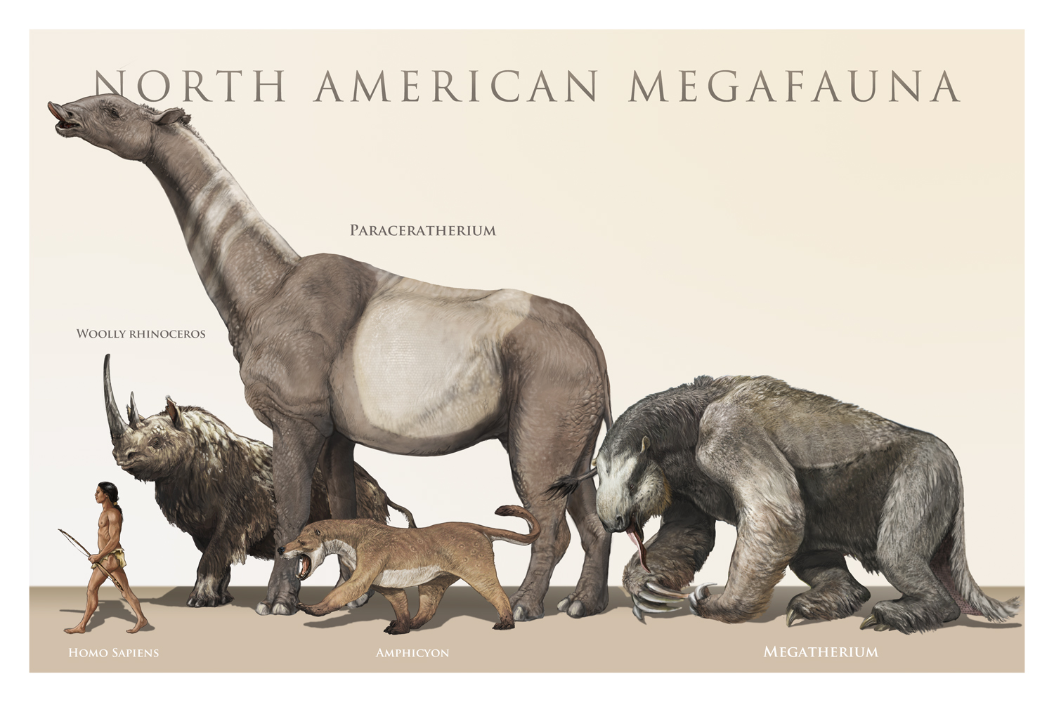 A few of the many North American megafauna which co-existed with the paleoindians. (nearly all of which went extinct at the end of the ice age (which we correlate with the "great dearth" spoken of in the Book of Mormon).