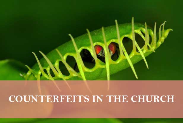 counterfeits-in-the-church